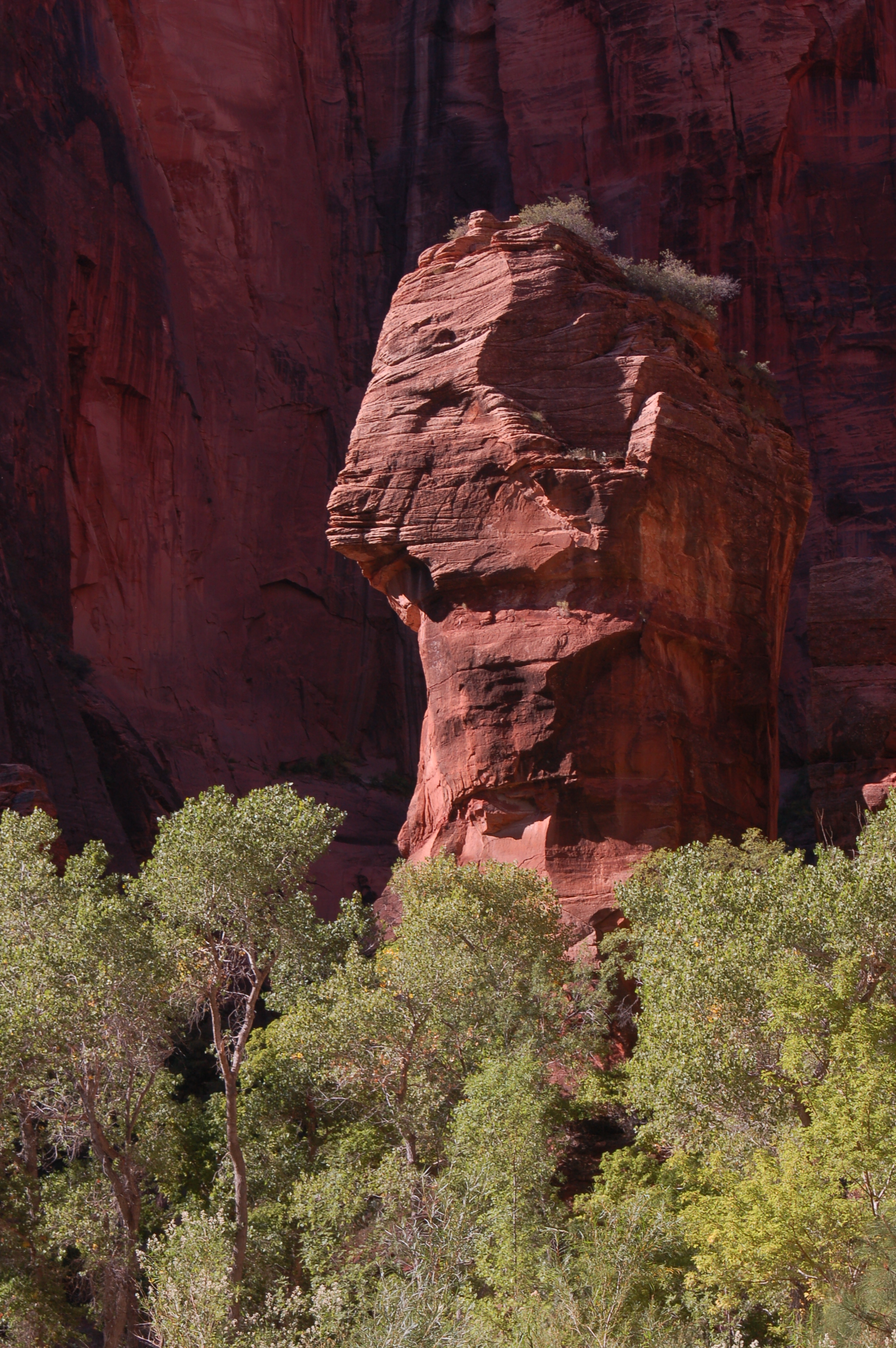 Zion NP